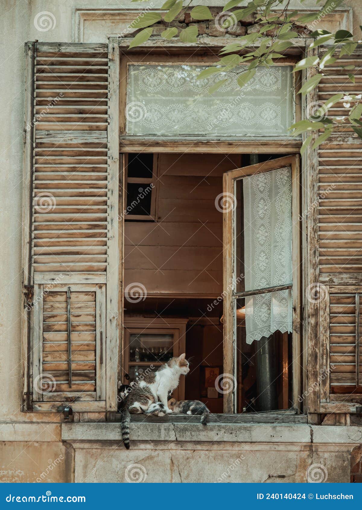 Cats on the Windowsill of an Old House with Open Windows Stock Photo