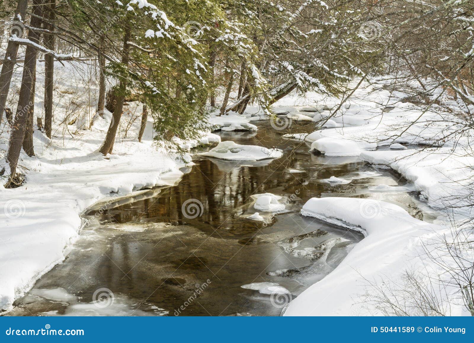 catskills frozen stream