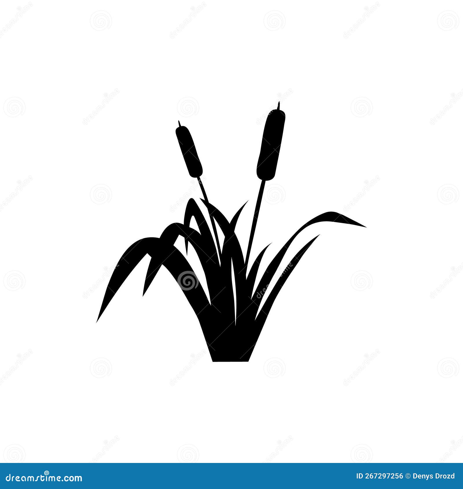 Cattail Icon Vector. Reeds Illustration Sign. Swamp Symbol. Grass Logo ...