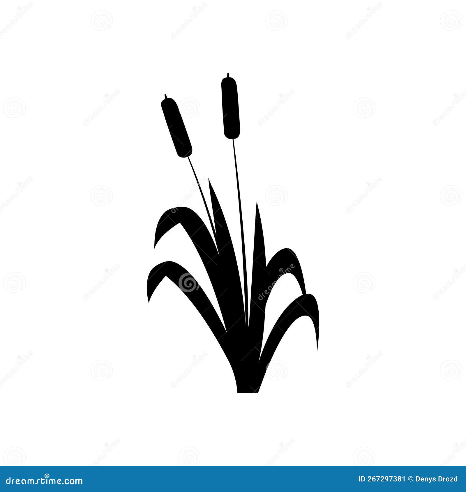 Cattail Icon Vector. Reeds Illustration Sign. Swamp Symbol. Grass Logo ...
