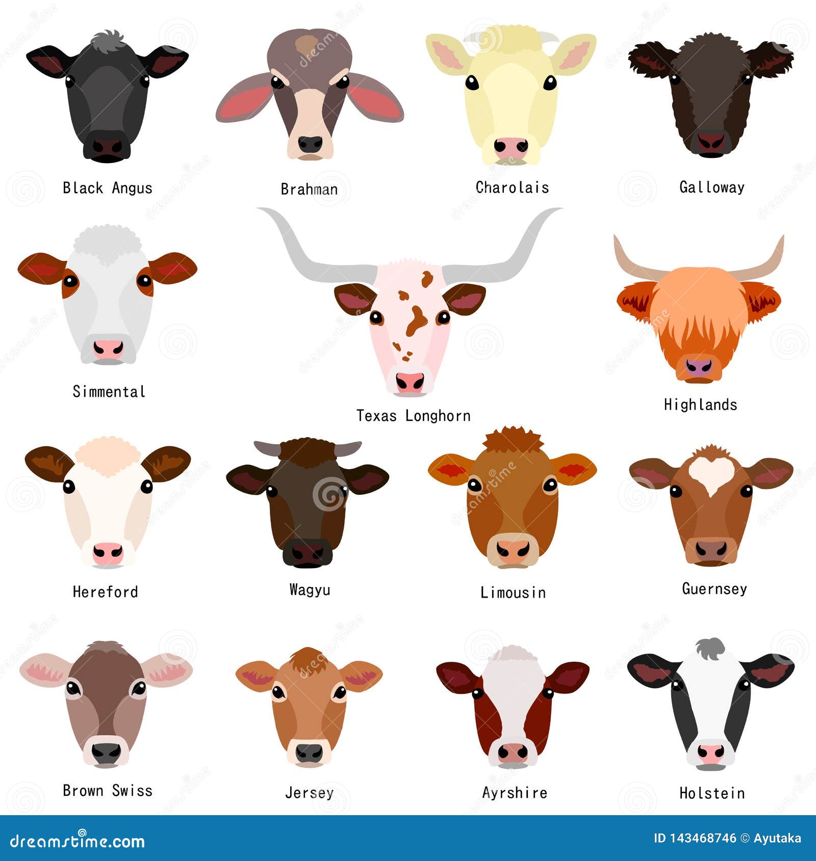 Cattle Chart