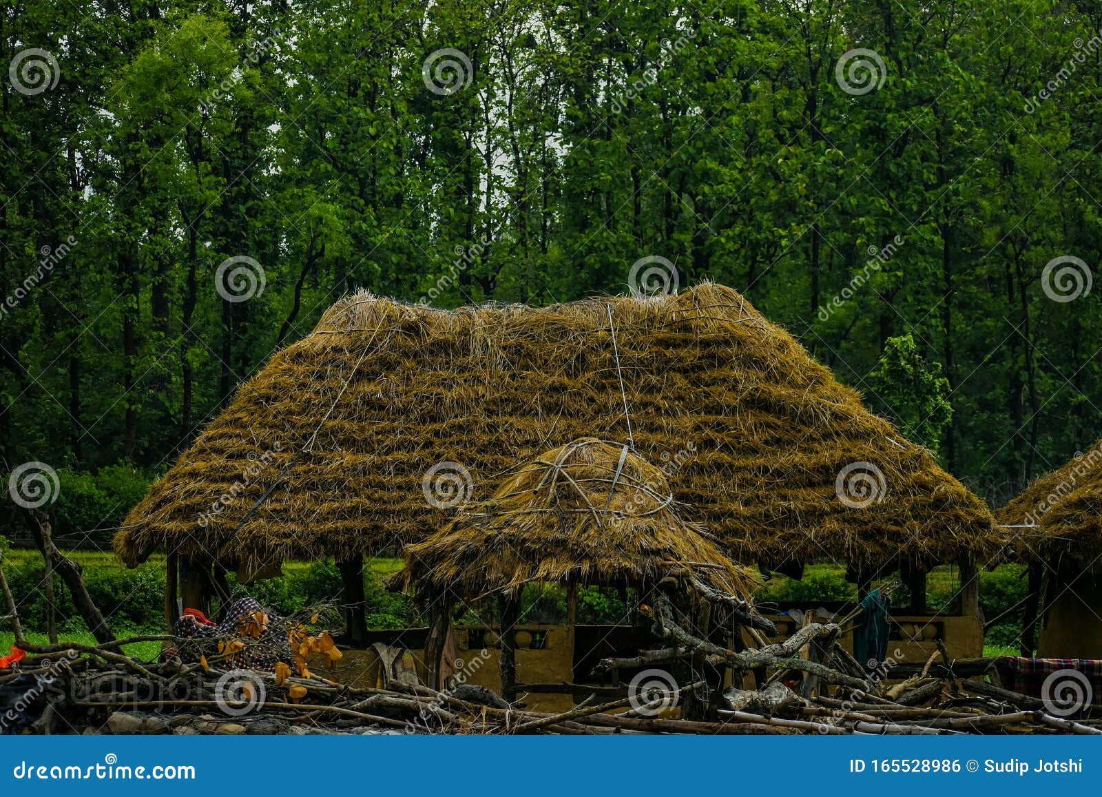 cattle shed/shelter in uttrakhand,india. stock photo