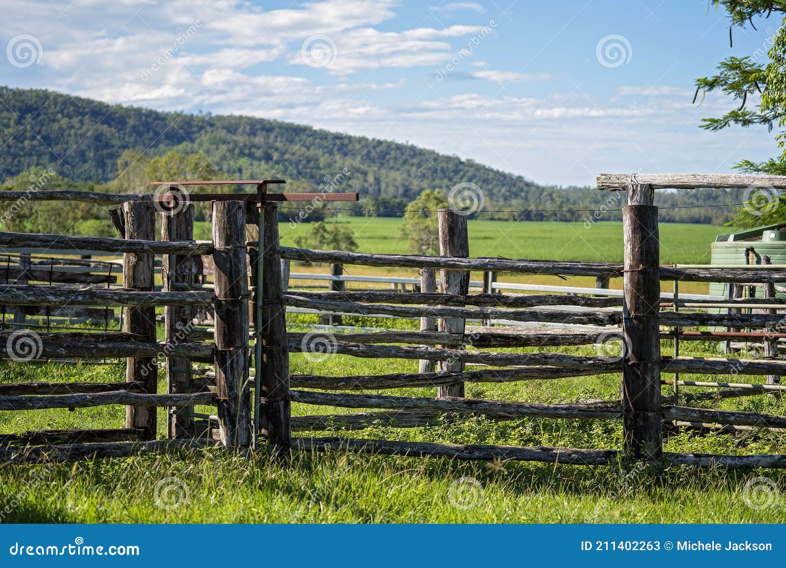 Cattle Yards with Timber Fencing Stock Image Image of building
