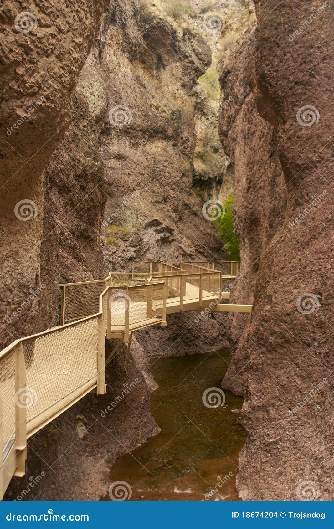 Catwalk Trail Gila National Forest New Mexico Stock 