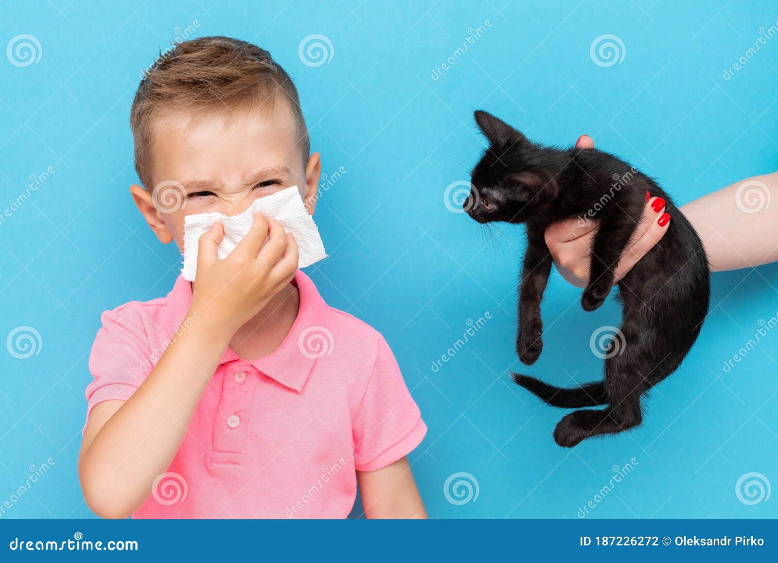 Caucasian Boy With Allergies Blowing Nose Into Tissue And Stands By The Kitten Stock Photo Image Of Disease Blowing 187226272