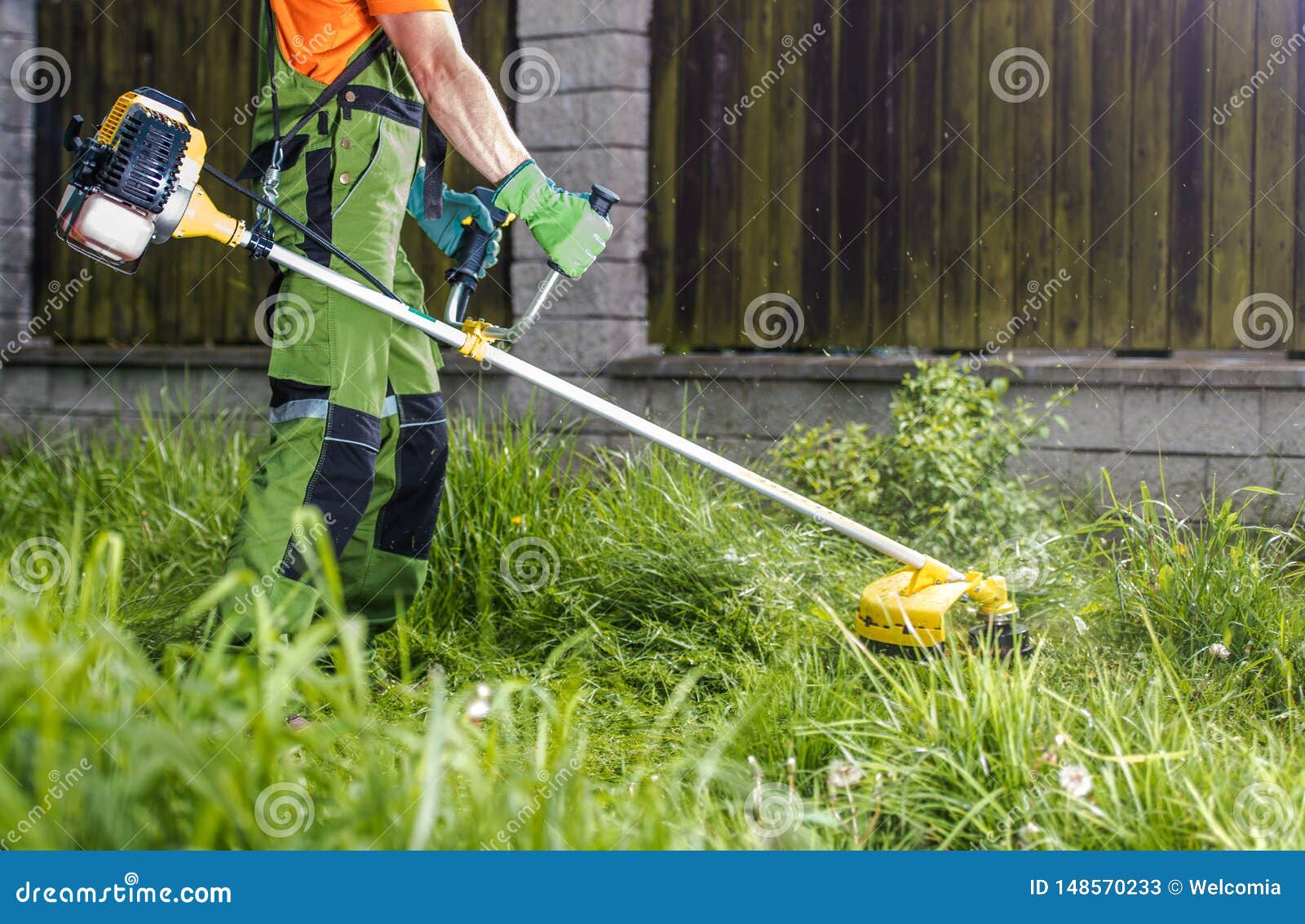 Trimming Grass Lawn Edge Along Fence Stock Photo