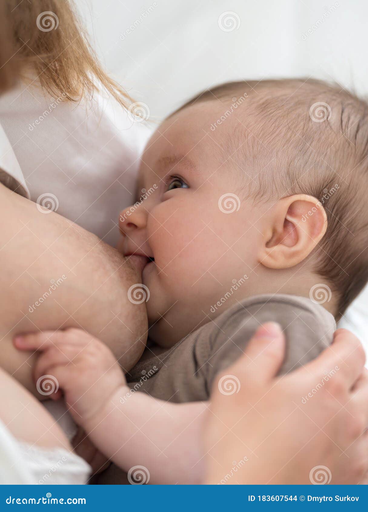 Breast Feeding of a Newborn Baby Girl Stock Photo - Image of 2530, feeding:  183607544