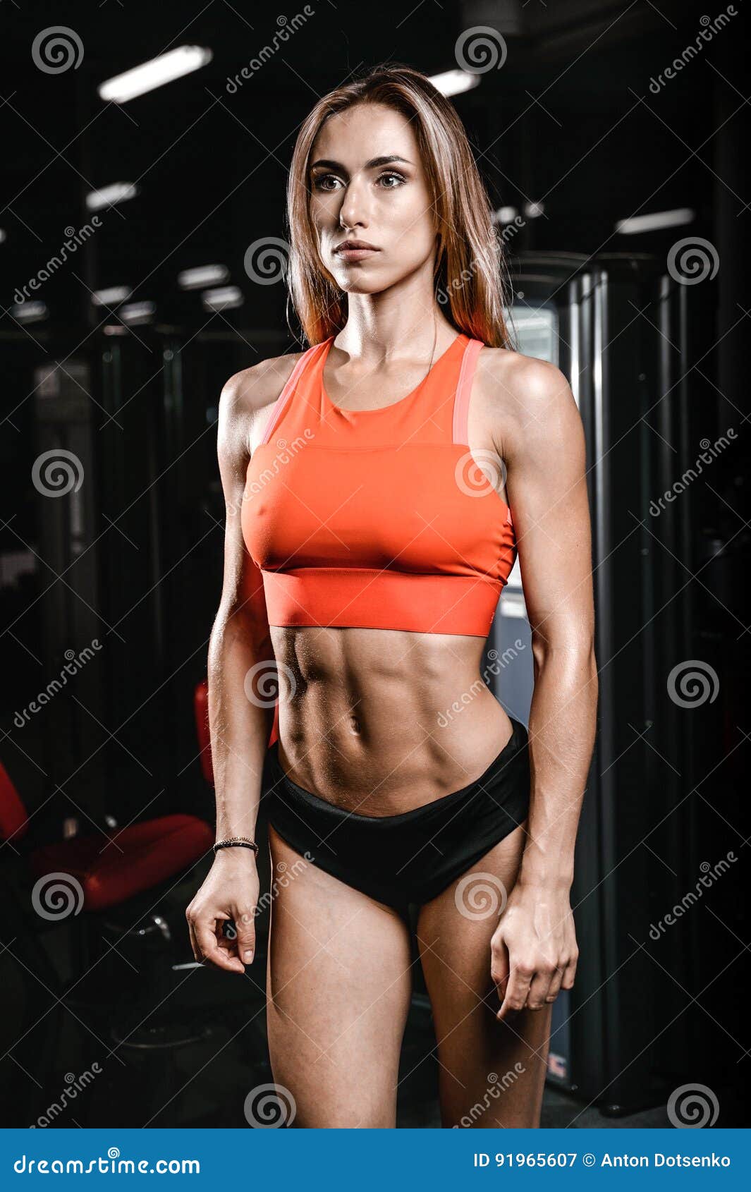 Caucasian Fitness Female Model in Gym Close Up Abs Stock Image - Image of  muscle, fitness: 91965607