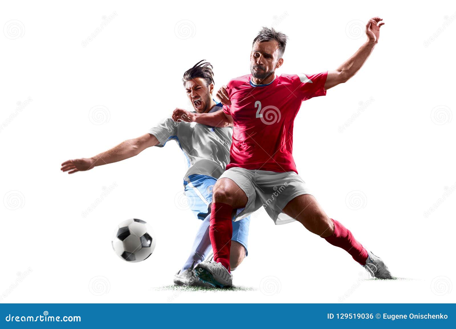 Caucasian Soccer Players Isolated on White Background Stock Photo
