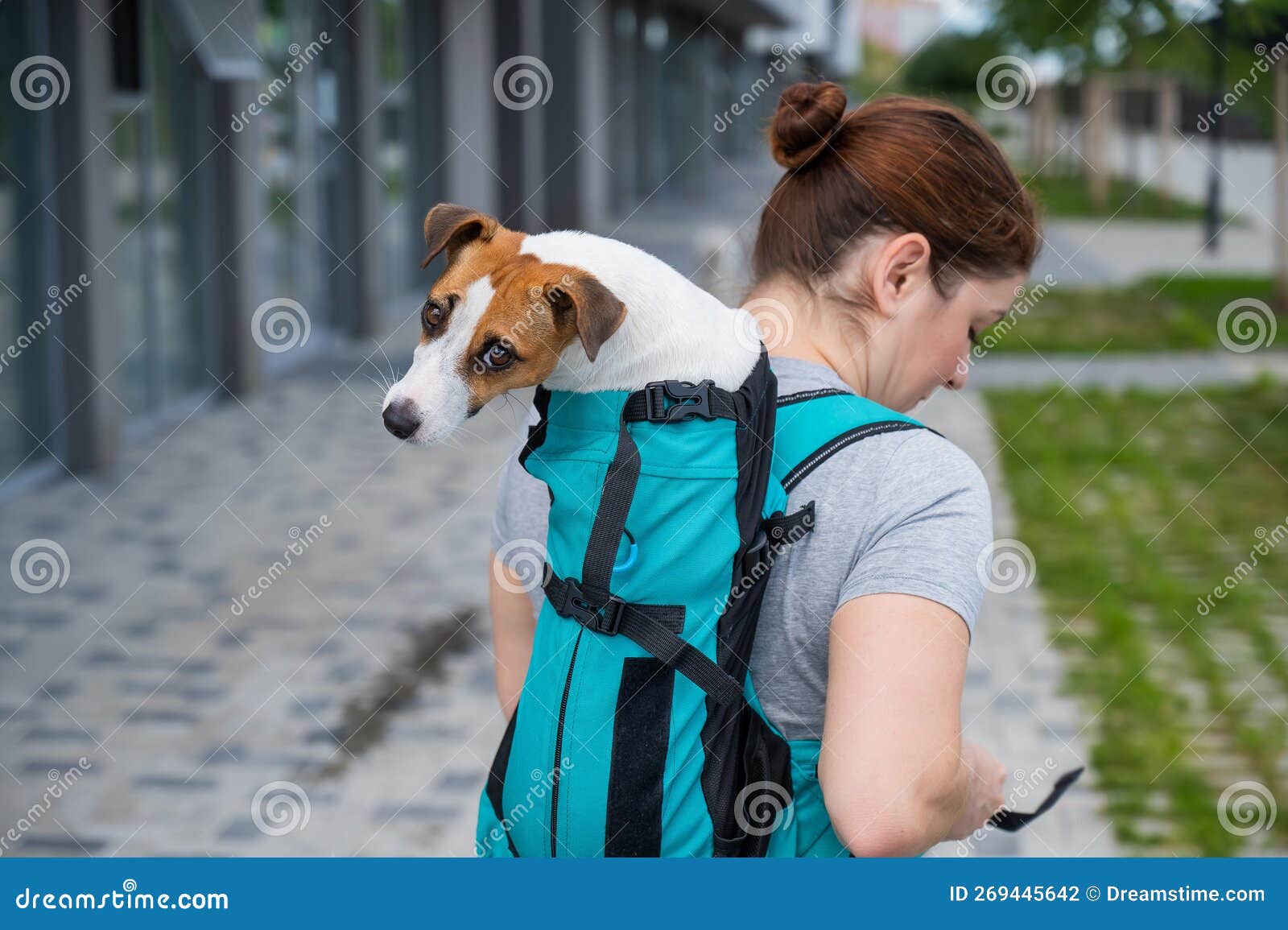 Jack Russell Backpack Jack Russell Backpack