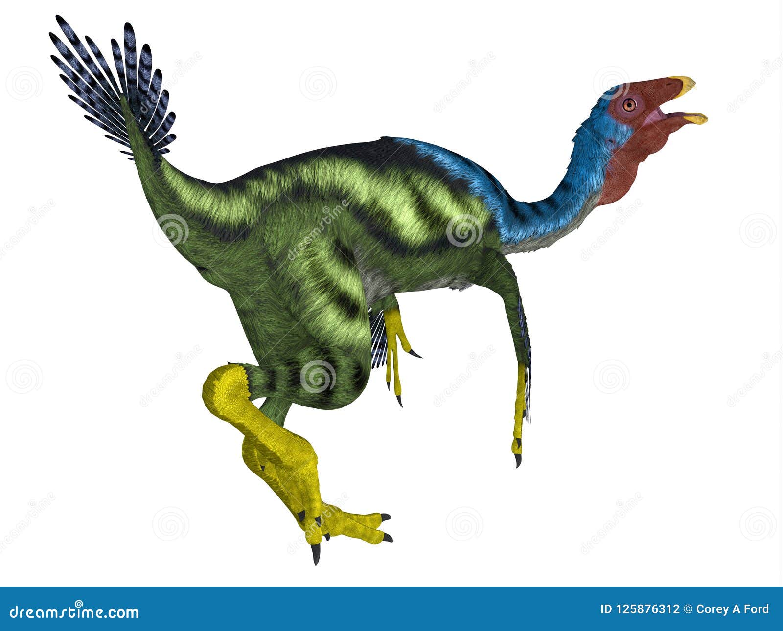caudipteryx dinosaur tail
