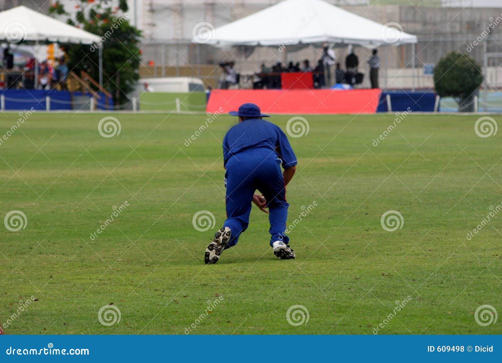 Caught stock photo. Image of cricket, british, play, sport 609498