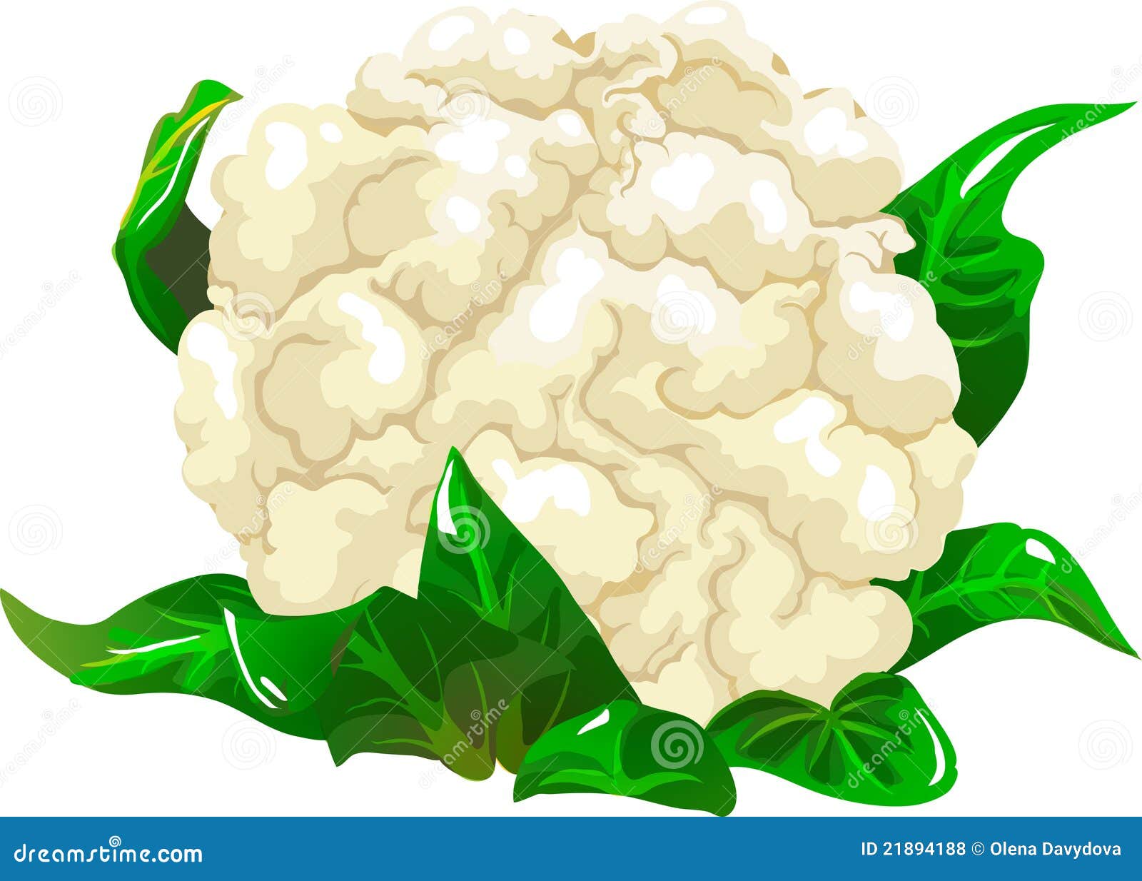 Cauliflower Stock Illustrations – 11,170 Cauliflower Stock Illustrations,  Vectors & Clipart - Dreamstime
