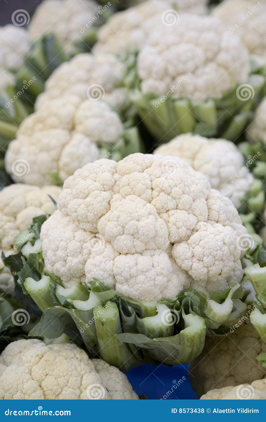 Cauliflower stock photo. Image of choice, dish, stem, nutrients 8573438