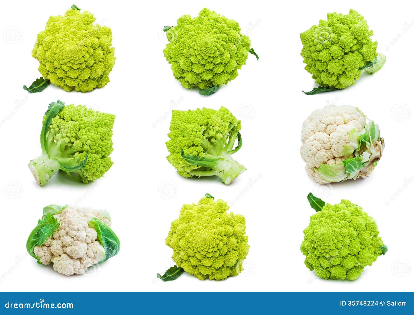 Cauliflower and broccoli stock photo. Image of flower 35748224