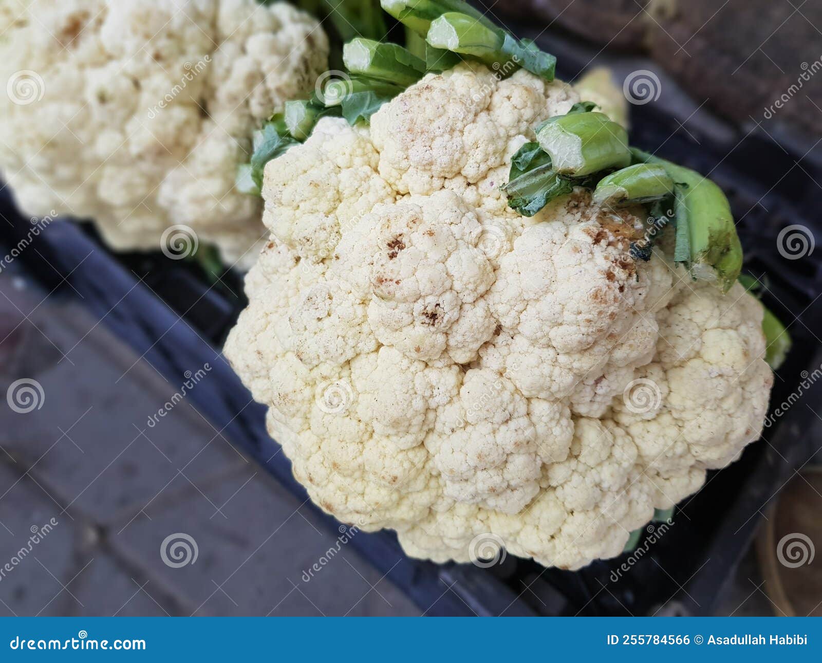 Cauliflower/ Fresh/ Kept for Sale Stock Photo Image of curry, fruit