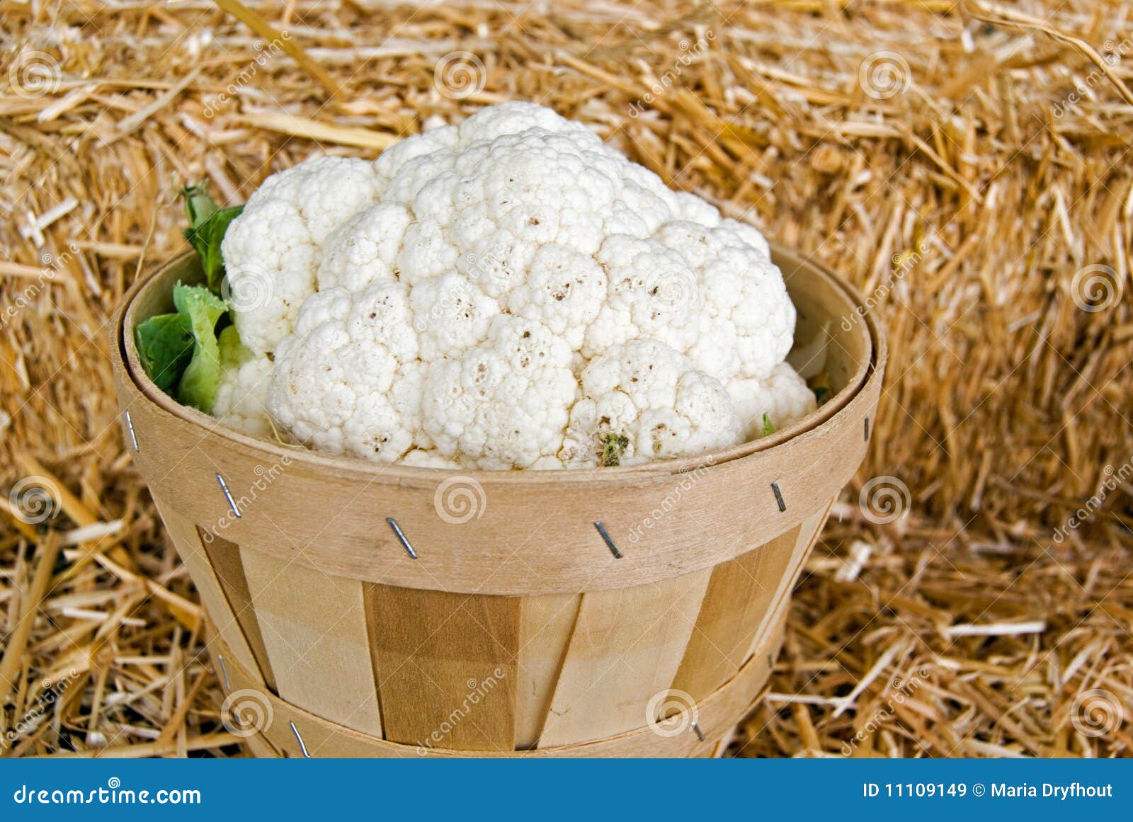 Cauliflower Head stock image. Image of yield, basket 11109149