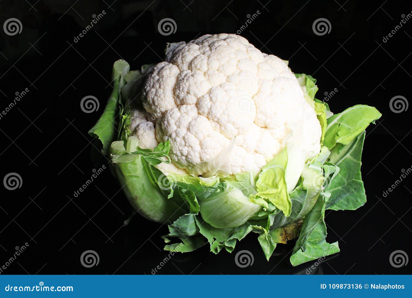 cauliflower head curd coliflor on black reflective studio background.  black shiny mirror mirrored background for every co