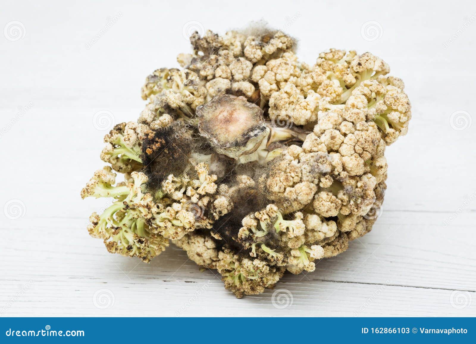 Cauliflower Mold Due To Improper Storage Stock Image Image of dirty