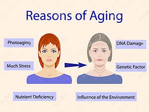 Aging Stock Illustration CartoonDealer 159840166 Aging Stock Illustration CartoonDealer 159840166
