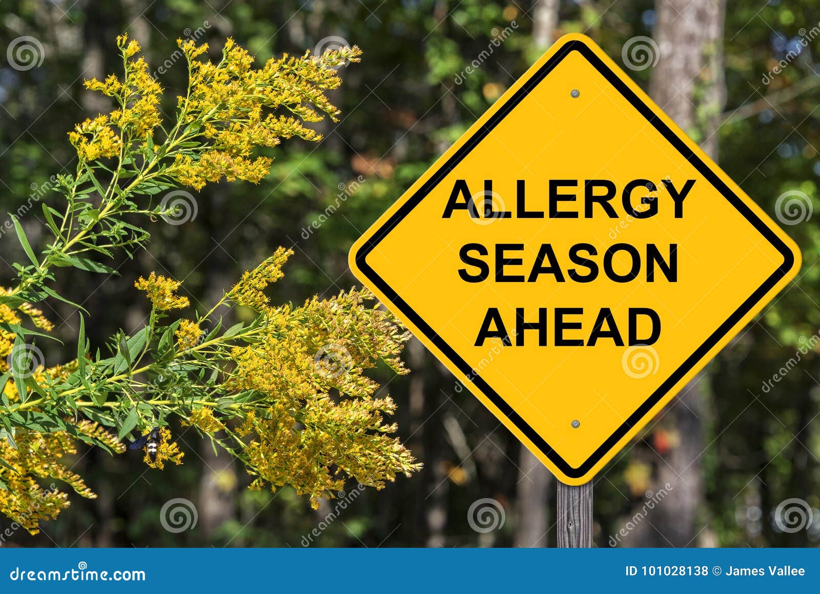 caution - allergy season ahead