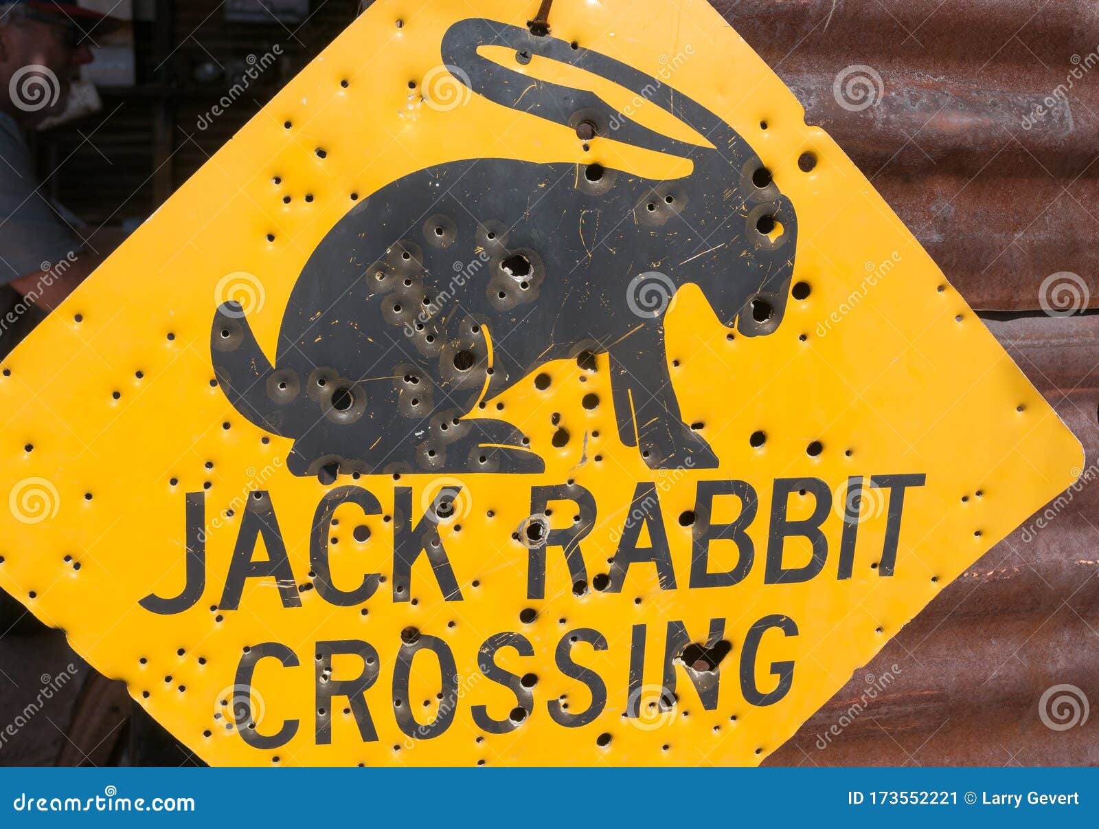 Download Caution, Jack Rabbit Crossing Stock Image - Image of ...