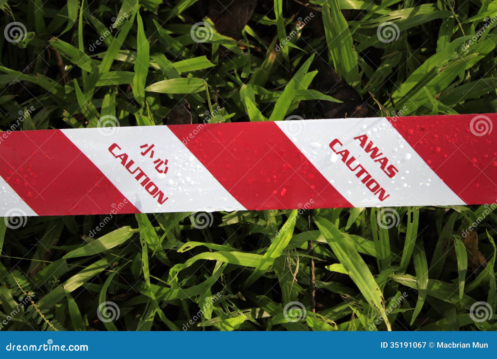 Caution tape on grass stock image. Image of enter, barricade 35191067