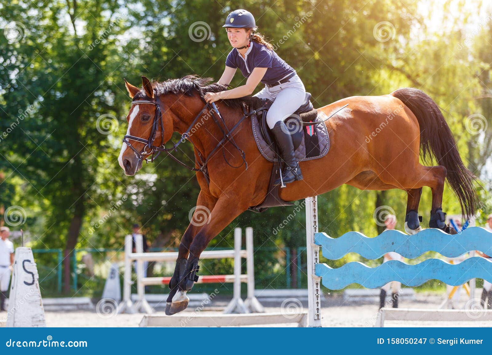 a cavalo saltos sobre a obstáculo. a cavalo cavalgando. pulando