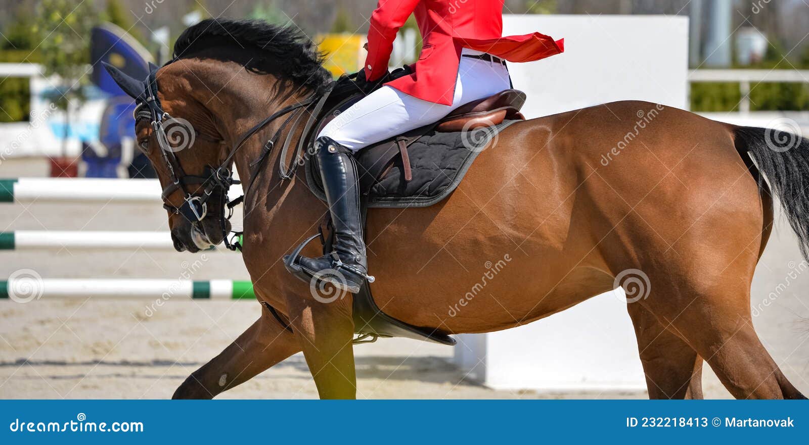 Foto de De Cavalo Pulando e mais fotos de stock de Cavalo