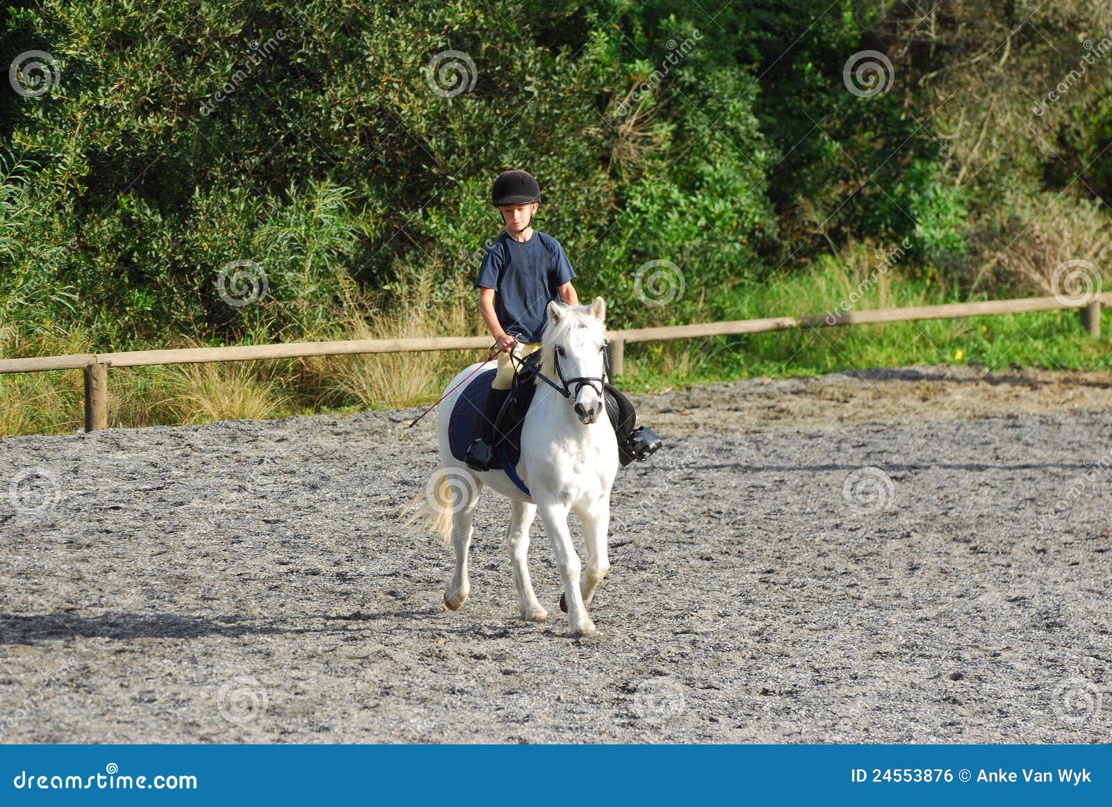 Cavaleiro pequeno do cavalo. Uma equitação caucasiano pequena bonito da criança da menina seu pônei branco em um prado ao ar livre.