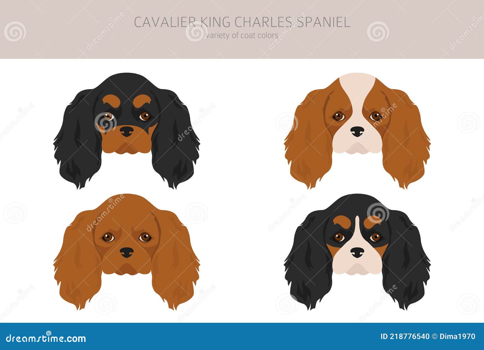 Cavalier King Charles Spaniel Stock Illustrations – 2,039 Cavalier King  Charles Spaniel Stock Illustrations, Vectors & Clipart - Dreamstime