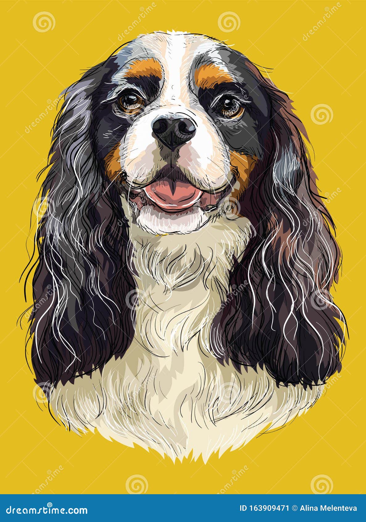 Cavalier King Charles Spaniel Colorful Vector Hand Drawing Portrait