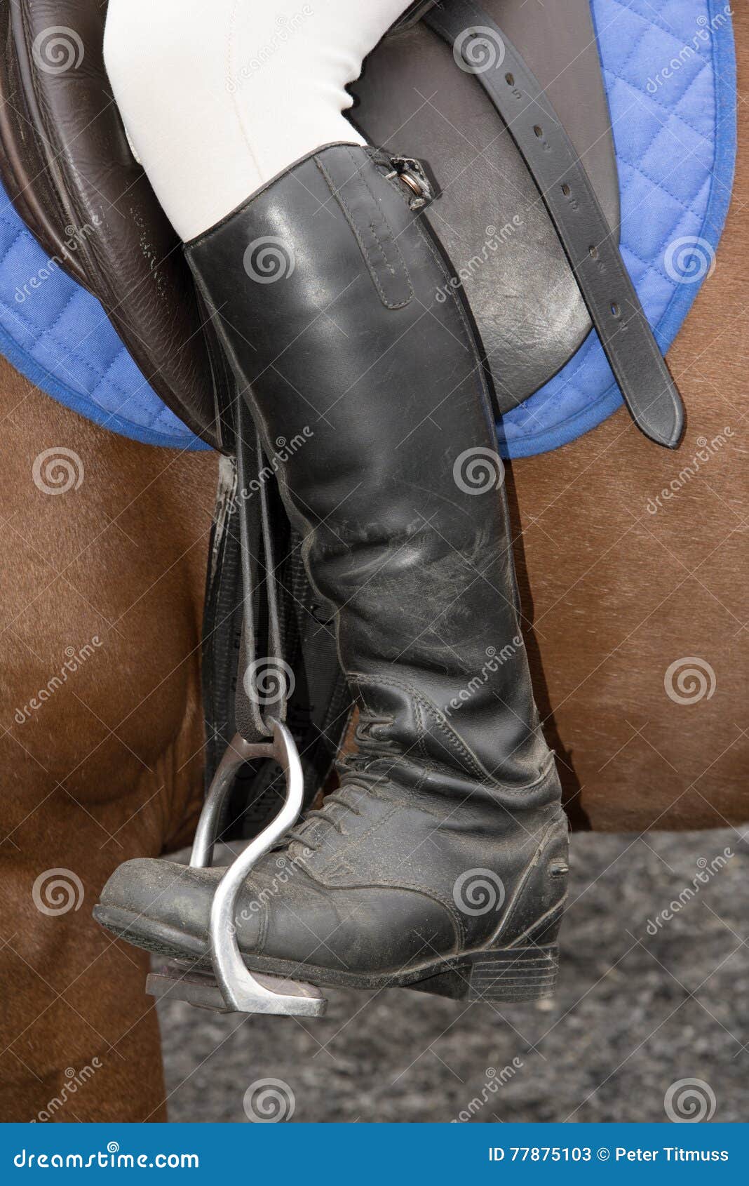 Coppia Di Staffe Da Cavallo In Ferro Battuto E Traforato | Guidoriccio Casa D'Aste - Foto 3