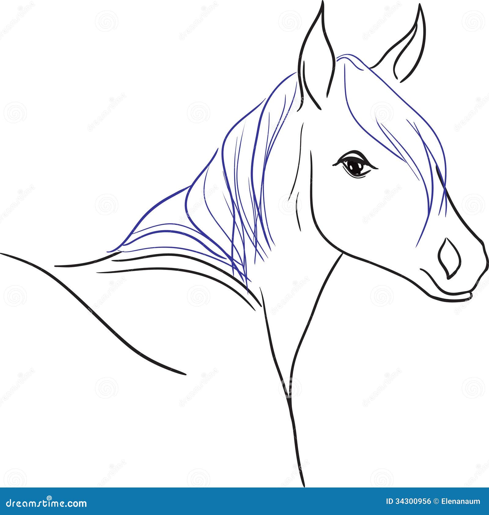 Cavallo Con La Criniera Blu Illustrazione Vettoriale