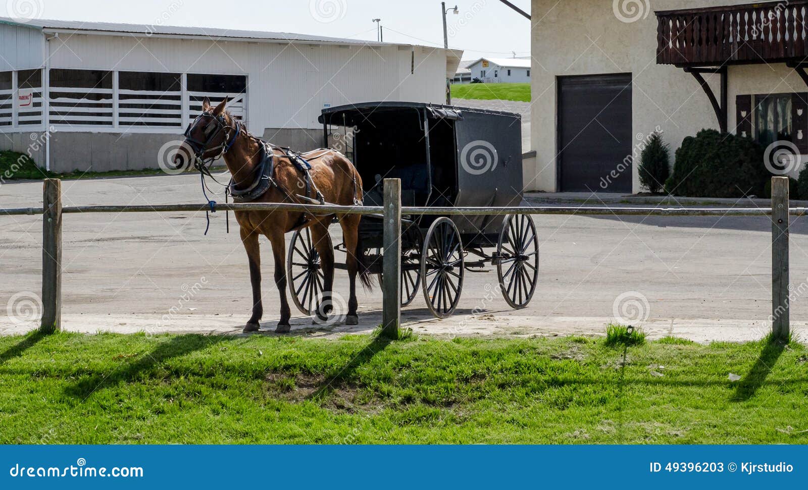 Cavallo e buggy dei Amish immagine stock. Immagine di adattato - 49396203