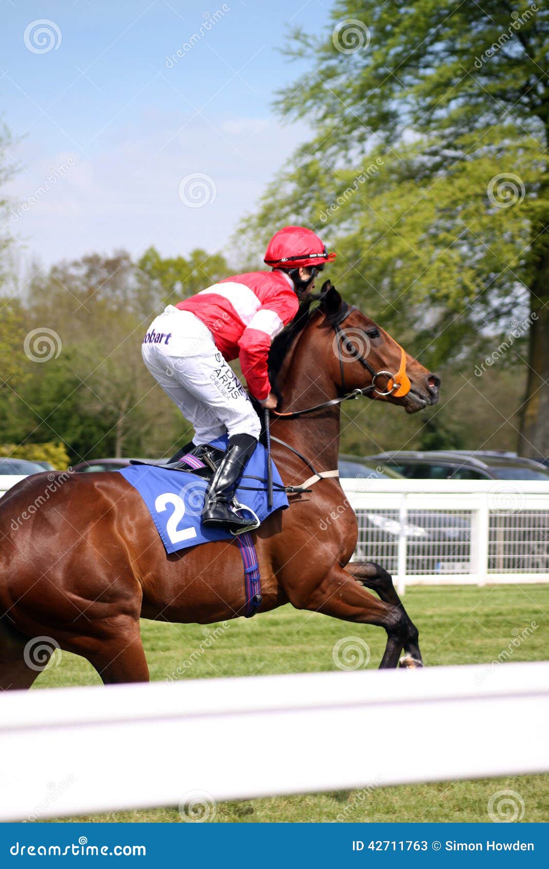 Cavallo Racing. Una puleggia tenditrice che monta un cavallo marrone a Salisbury Racecouse, Wiltshire La puleggia tenditrice sta indossando un'attrezzatura a strisce rossa e bianca di guida