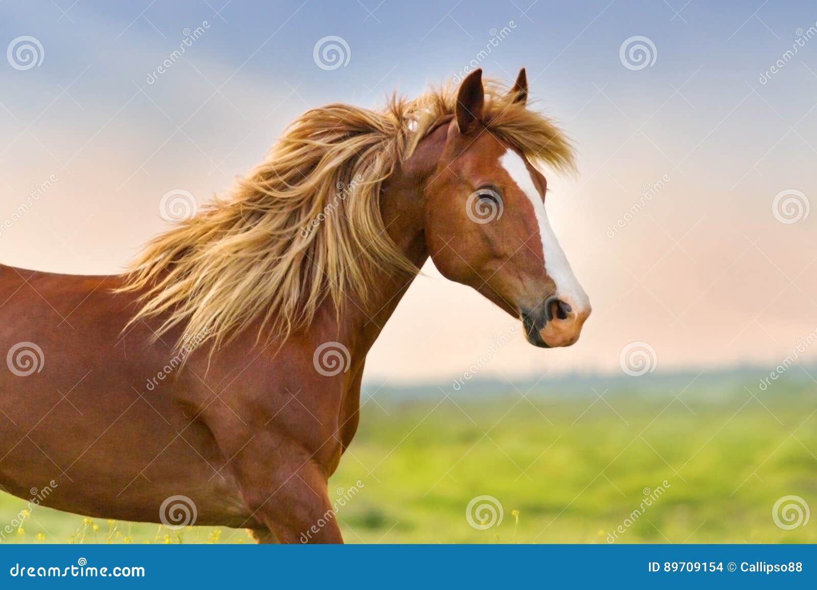 Maniglie Acceleratore In Gomma Per Dirtbike/ATV - 7/8-22mm, Verde, Con Conduttura - Foto 7