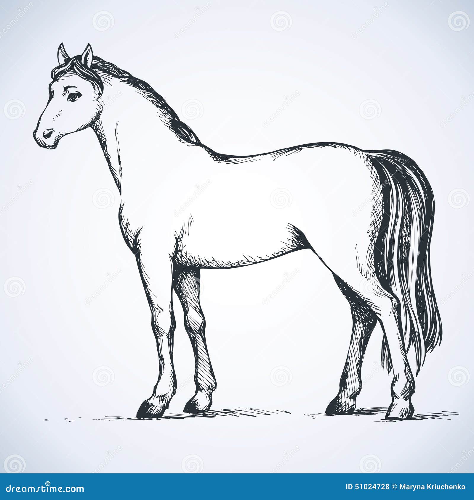 Como desenhar como desenhar um cavalo com sua mão 