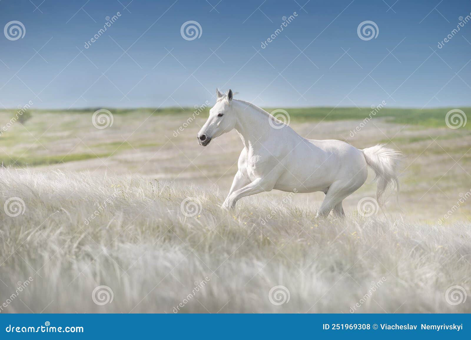 Um cavalo branco correndo no ar