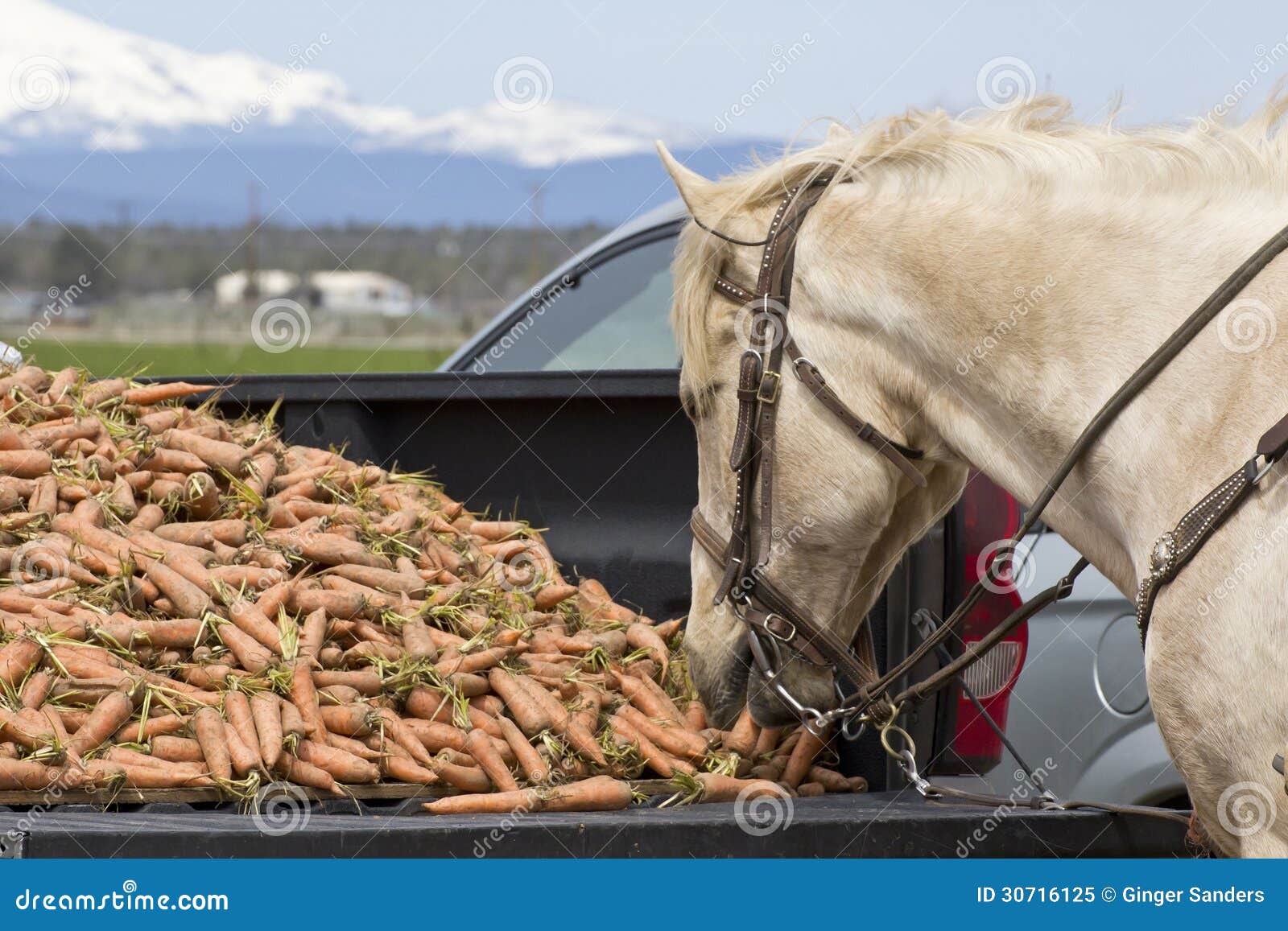 Você sabia que o cavalo branco de Uffington sobreviveu intacto por