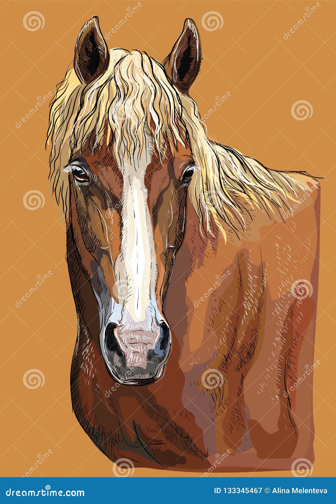 Cavalo desenho colorido  Arte de fazenda, Cavalo desenho