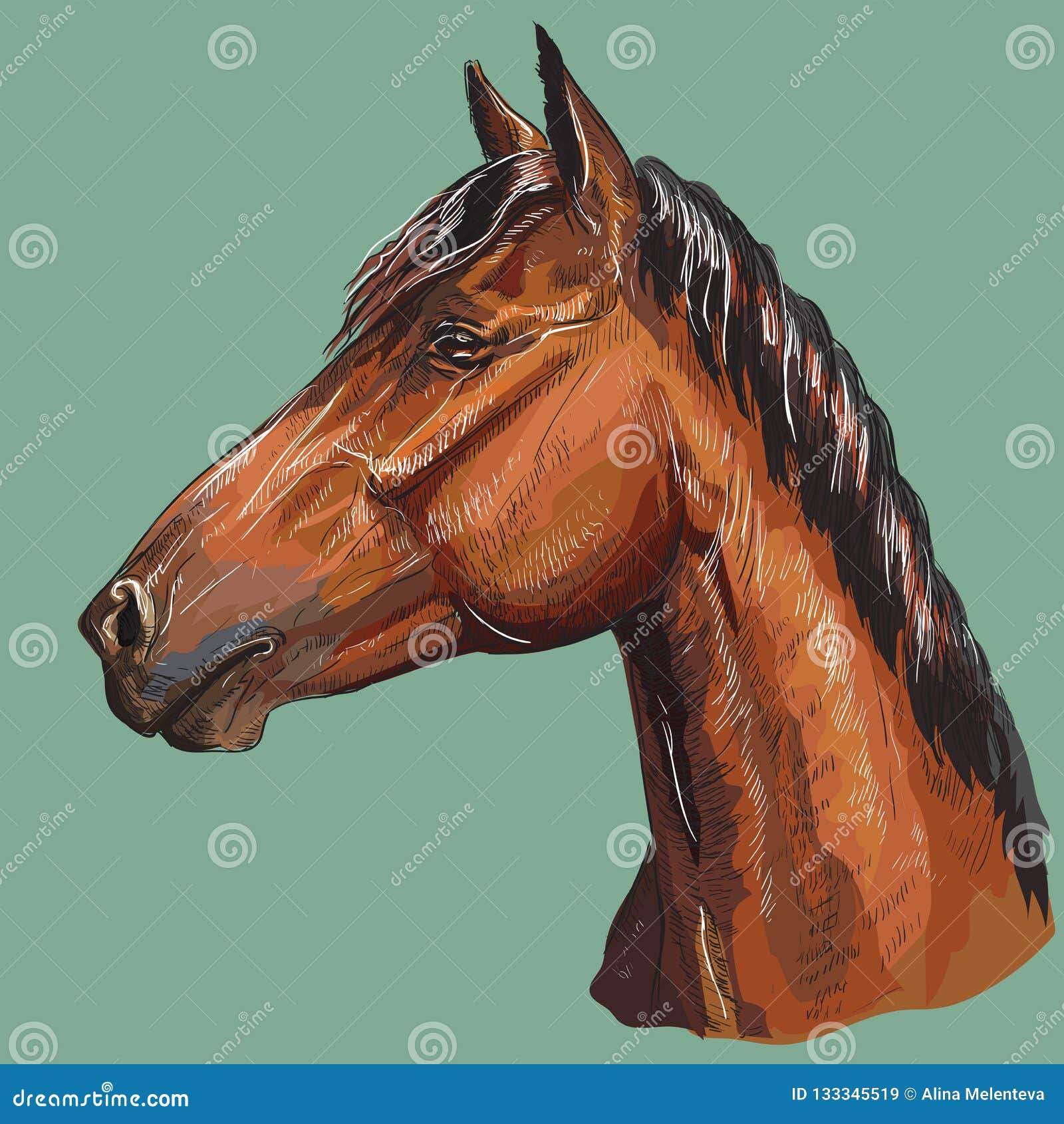 Featured image of post Cabe a De Cavalo Desenho Colorido Bonitos desenhos de cavalos que poder s pintar