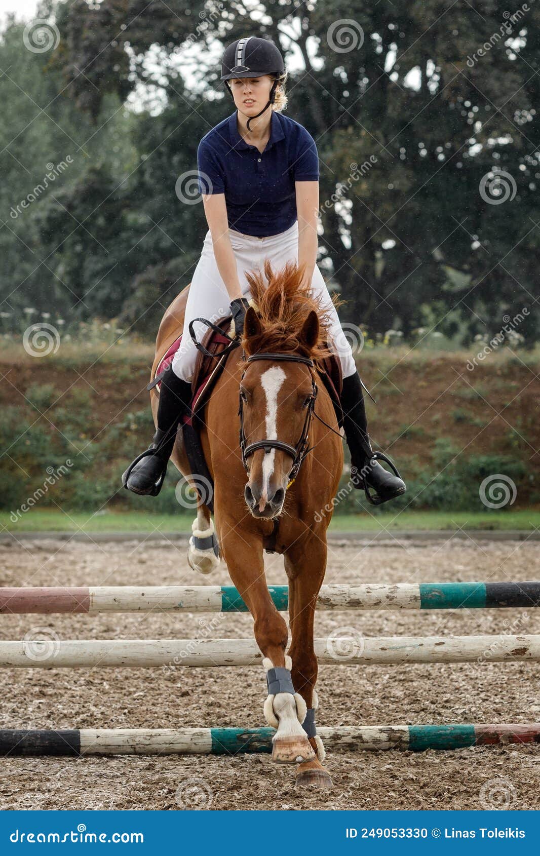 Cavalo De Baía Com Garota De Jóquei Pulando Sobre Um Obstáculo. Um