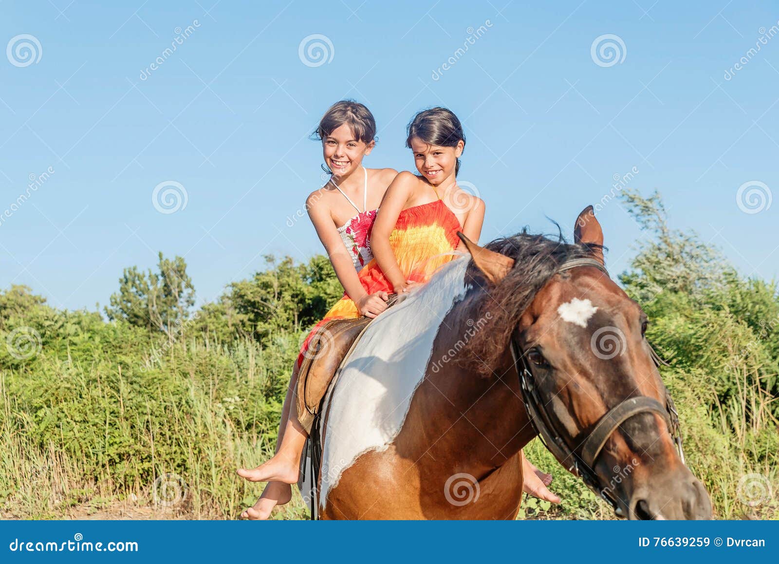 Cavalo De Equitação De Duas Meninas No Verão Em Ada Bojana, Monte Foto de  Stock - Imagem de meninas, povos: 76639270