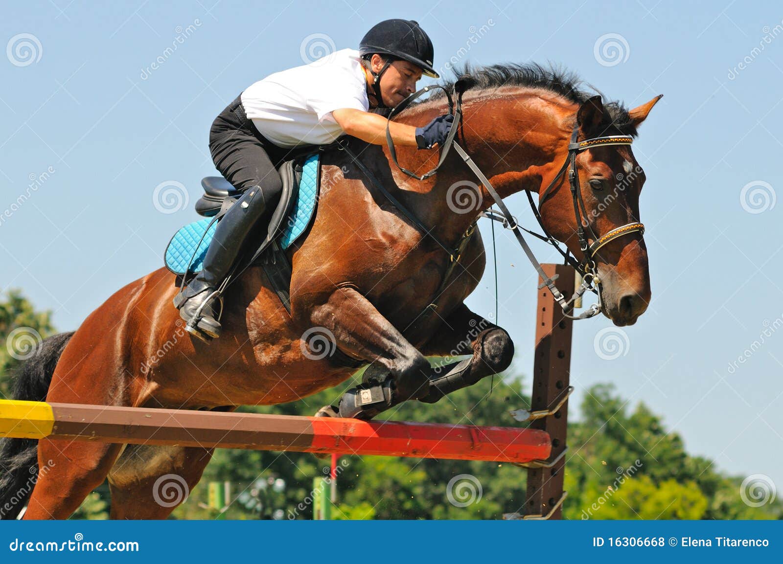 Kokpar - jogo do cavalo. foto editorial. Imagem de salto - 36471716