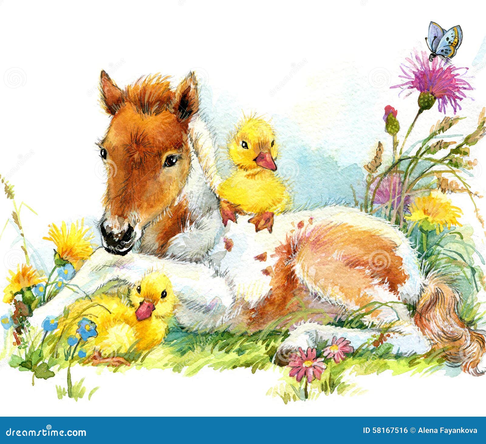 Cavalo e e patinhos Fundo com flor Ilustração. Cavalo e e patinhos Fundo com flor aquarela da ilustração