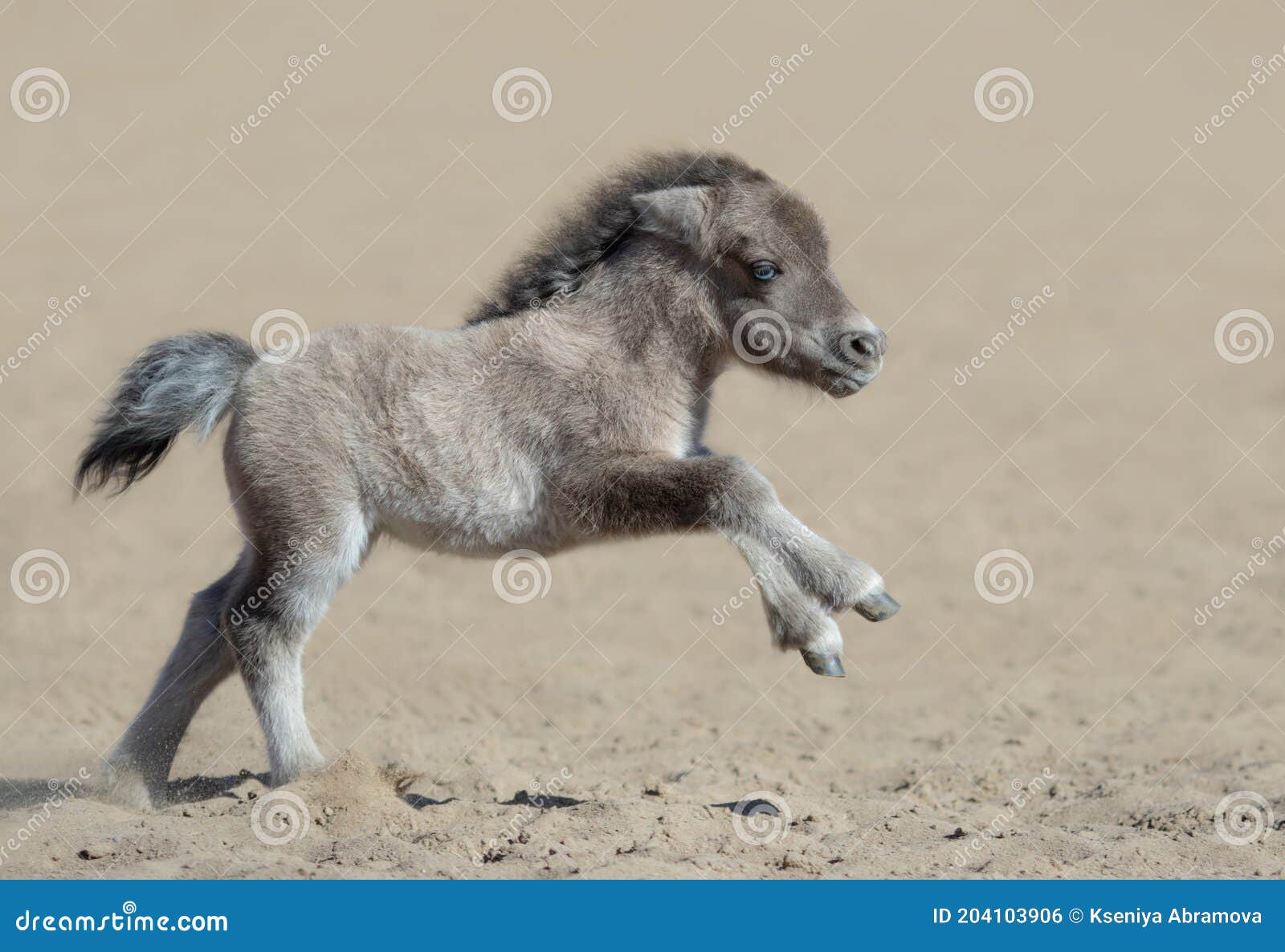 Aprenda Brincando o Movimento do Cavalo