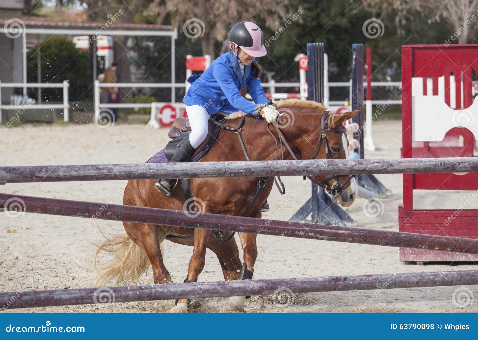 Show de sela pulando obstáculos a cavalo Equitação Saltar loja de