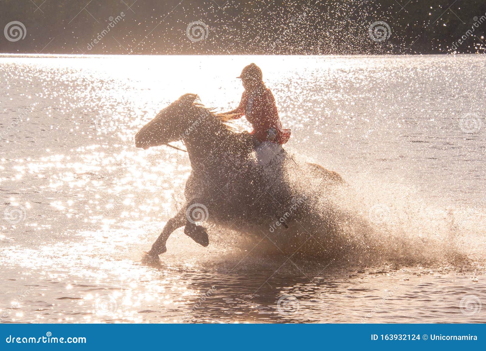 cavalo correndo  Cavalos bonitos, Cavalo, Cavalos