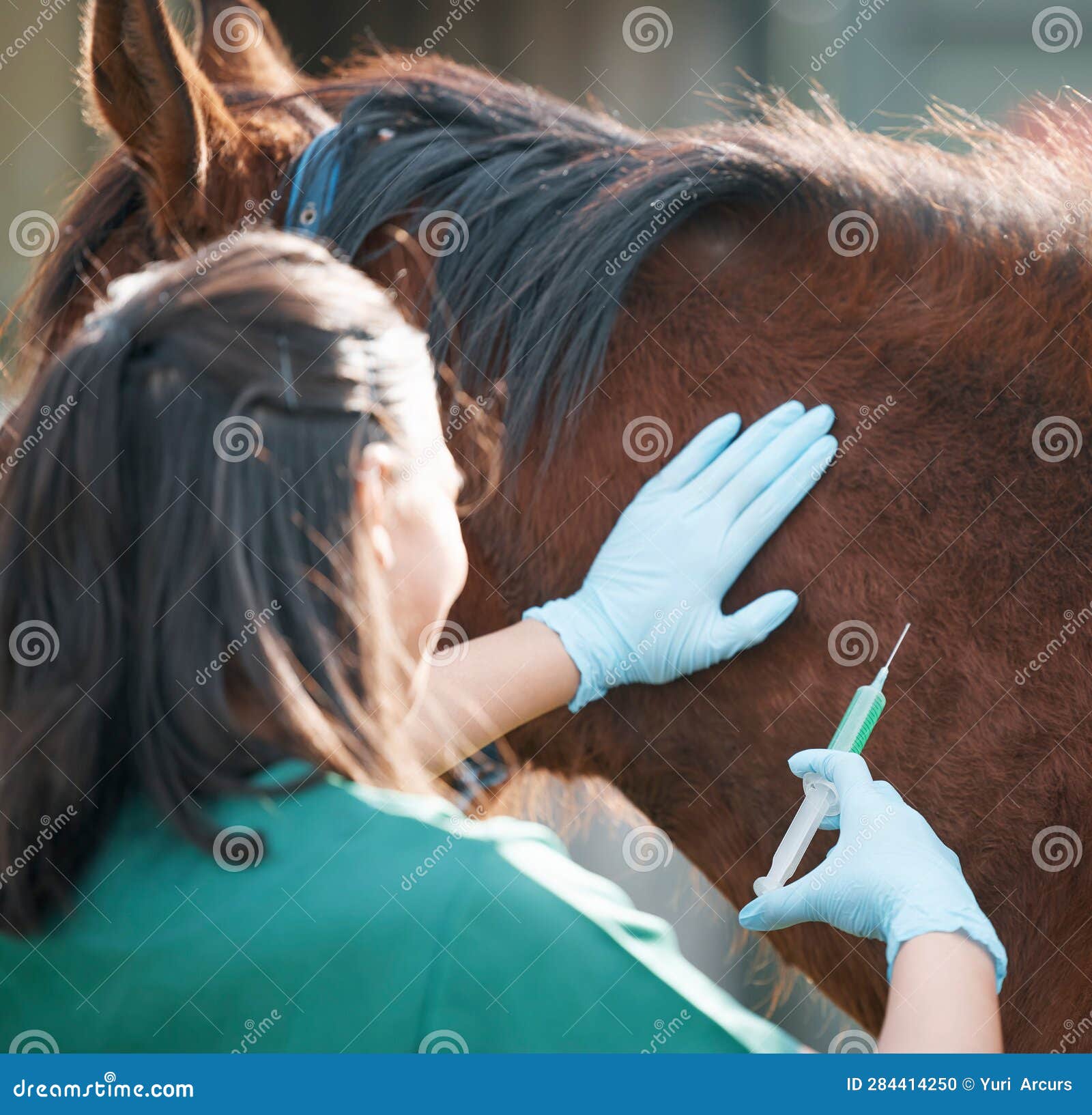 Marcas  Cavalos, Medicina veterinária, Animais de estimação